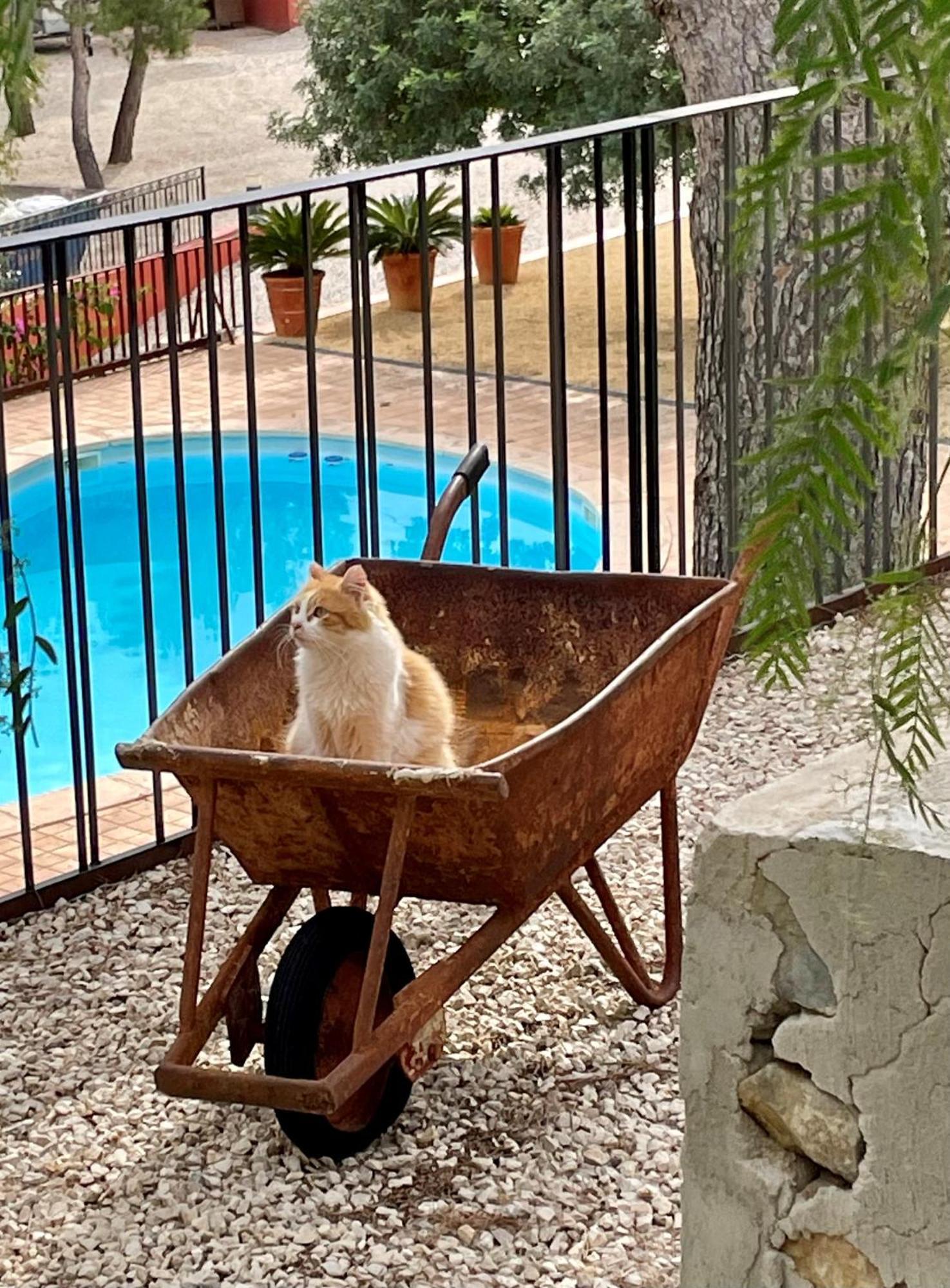 Finca El Otero Aigues Екстериор снимка